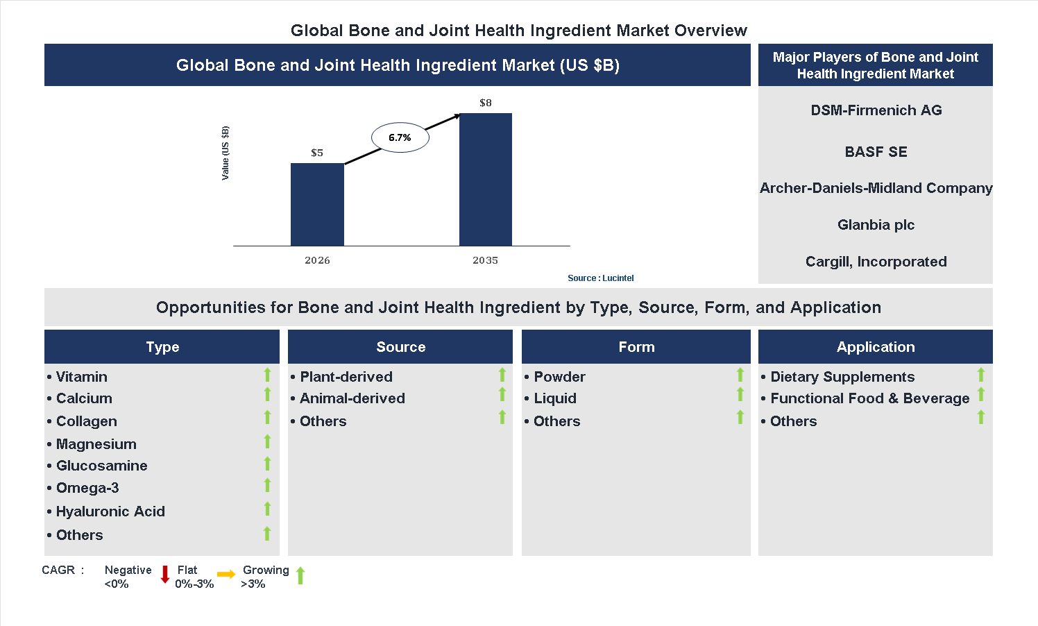 Bone and Joint Health Ingredient Market Trends and Forecast
